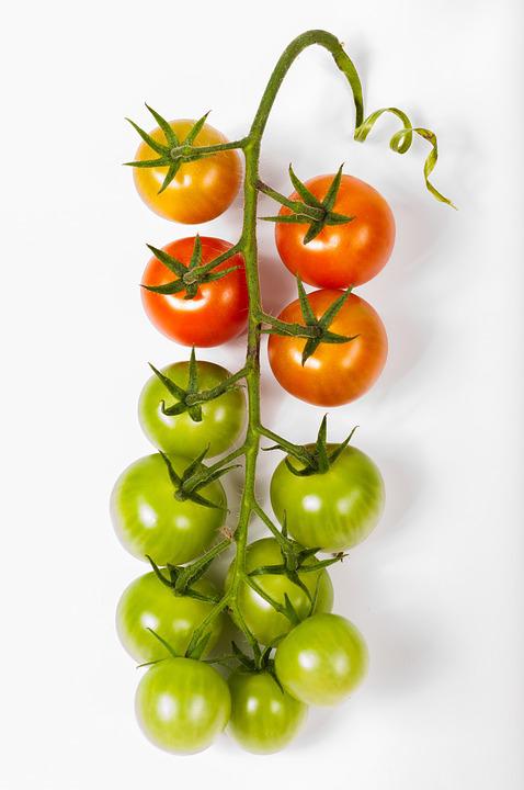 Cherry tomatoes growing on the vine.
