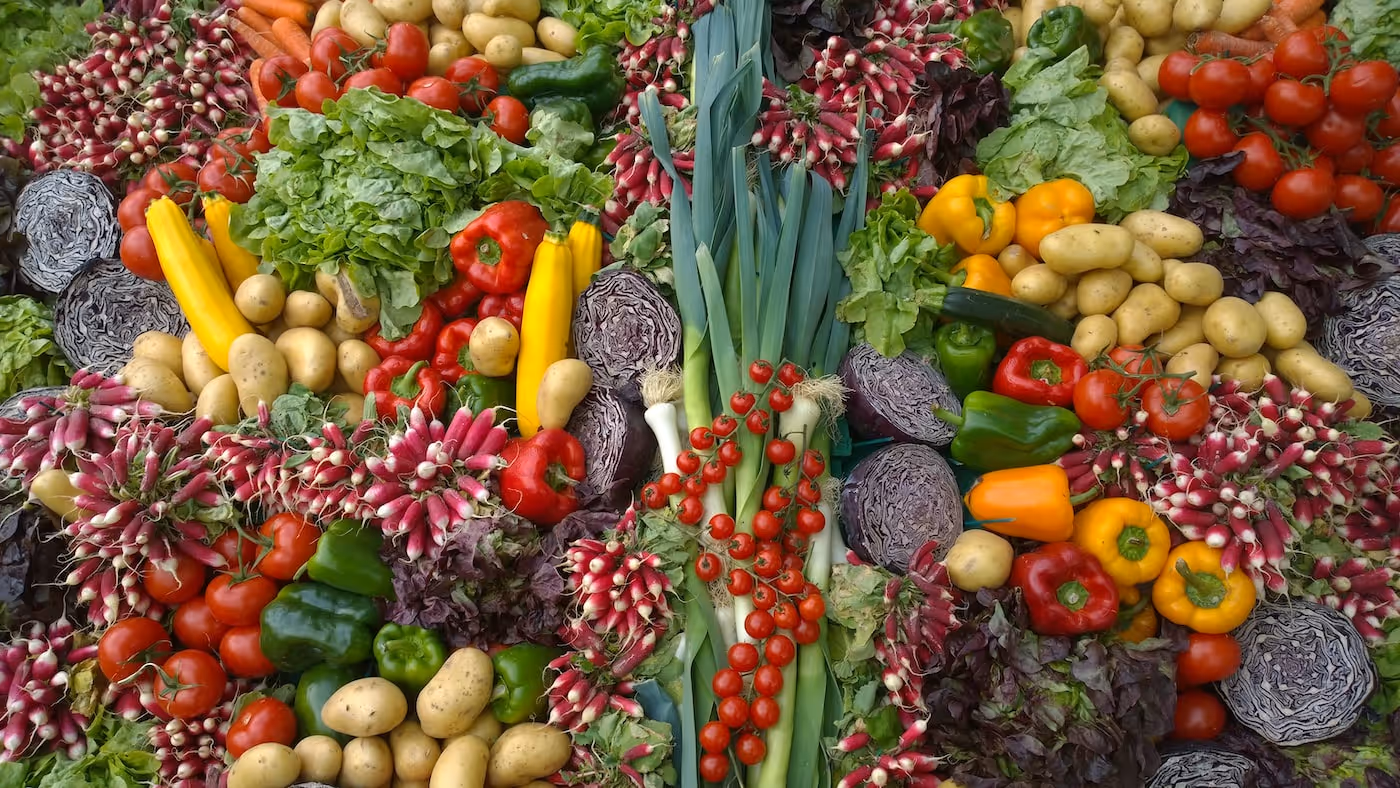 Vegetable garden in a small backyard.