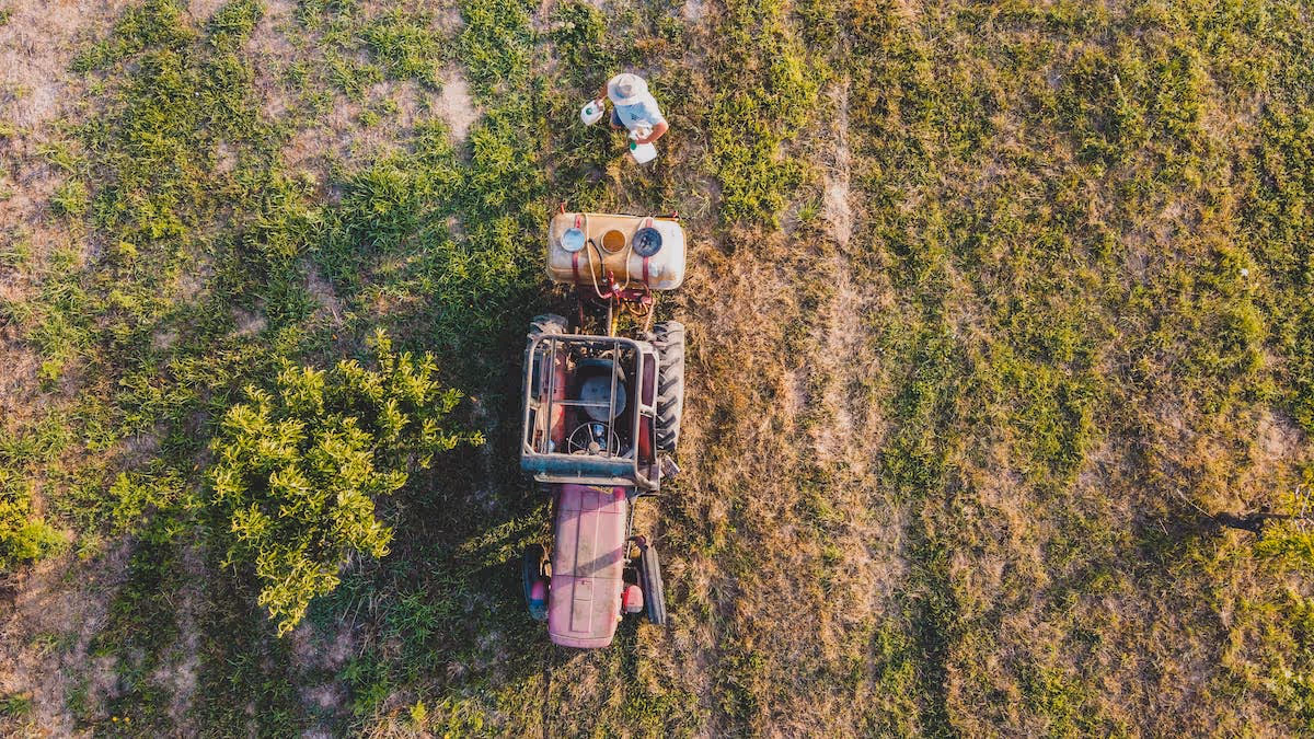 Person spraying crops with pesticide.