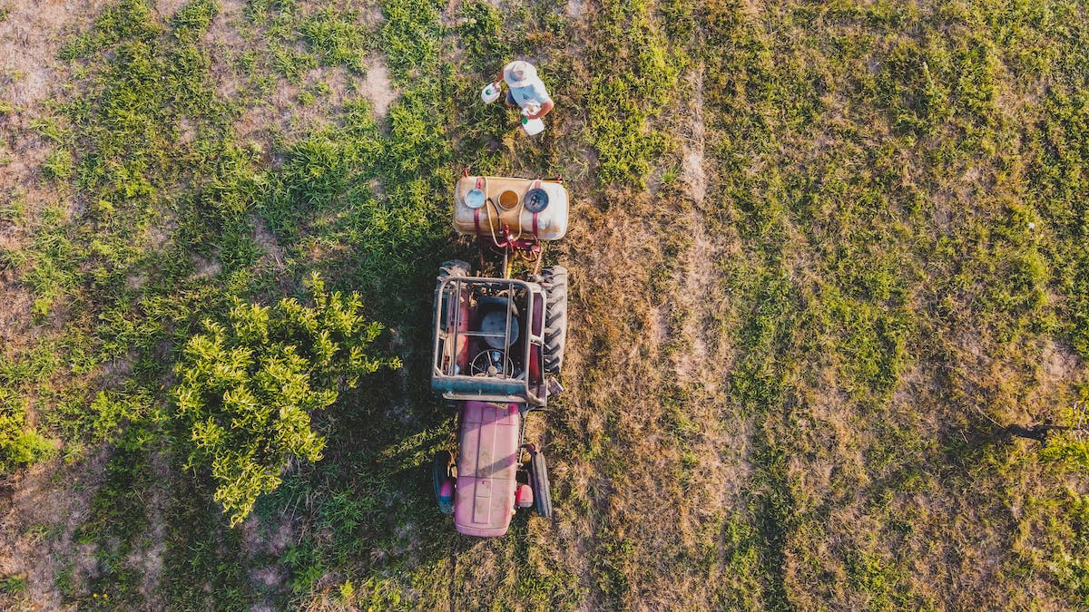 Person spraying crops with pesticide.