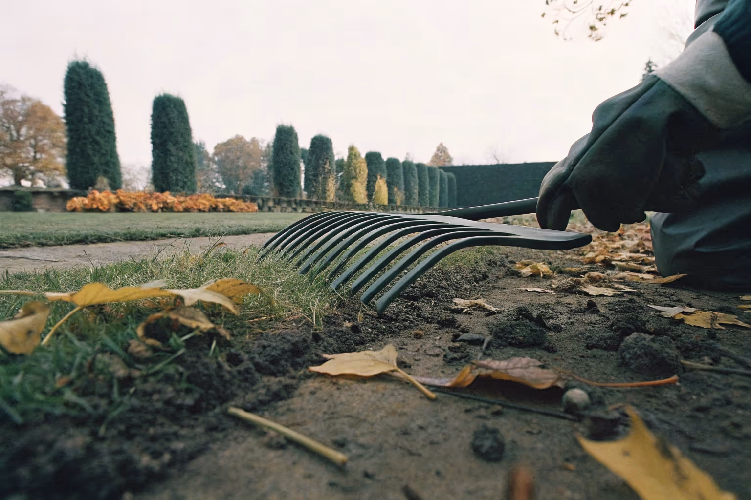 Choosing a sturdy rake with flexible, curved tines greatly improved my lawn's dethatching and leaf cleanup.