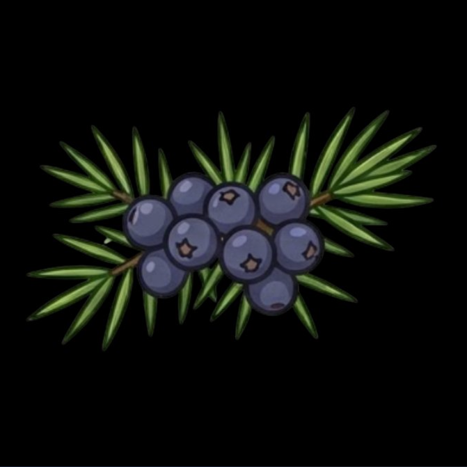 Juniper