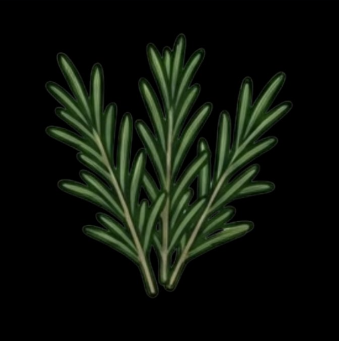 Rosemary
