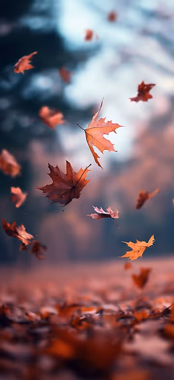autumn wallpaper from the Thematica wallpaper app