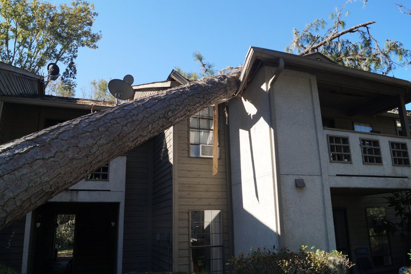 Storm damage claims