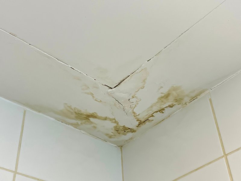 Water damage insurance
