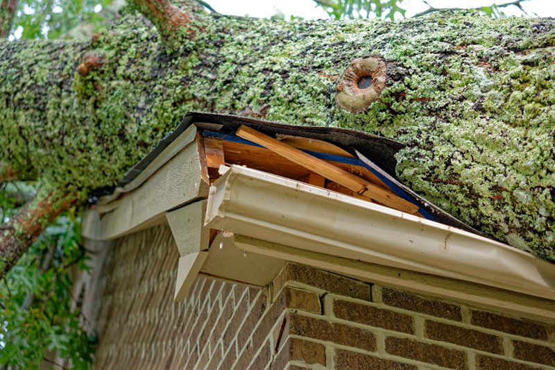 Large full size solid oak tree fallen on the garage crushing the structure doing damage to the roof gutters and brick wall outdoor view closeup