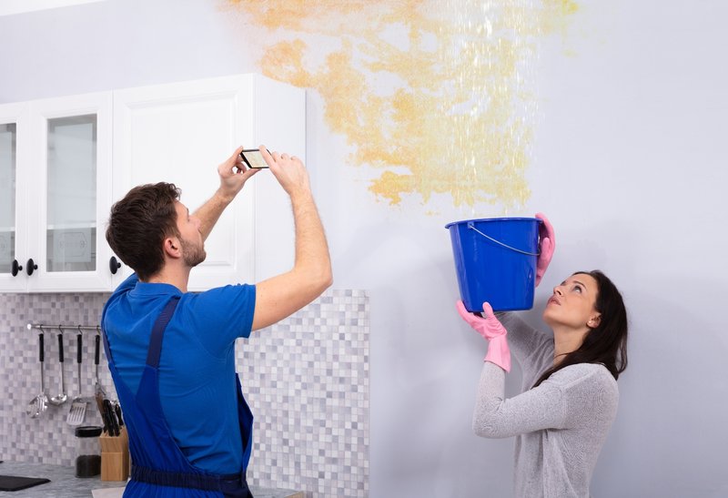 Public insurance adjusters