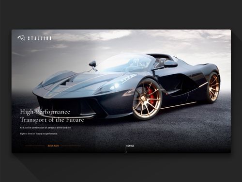 Stallion a Luxury Ride Hailing Service