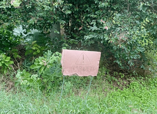 Pictured is a cardboard sign hand-lettered with the warning, "Hornets!" Post title: Design concepts learned from neighborhood signs.