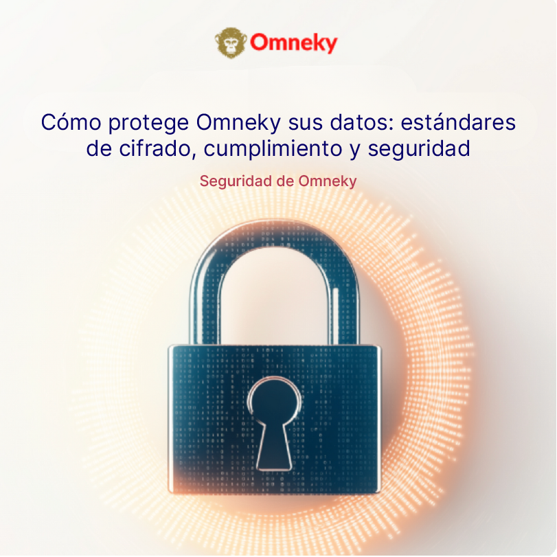 Representación segura de datos digitales con iconos de cifrado y un escudo, lo que ilustra el sólido marco de seguridad de datos de Omneky.