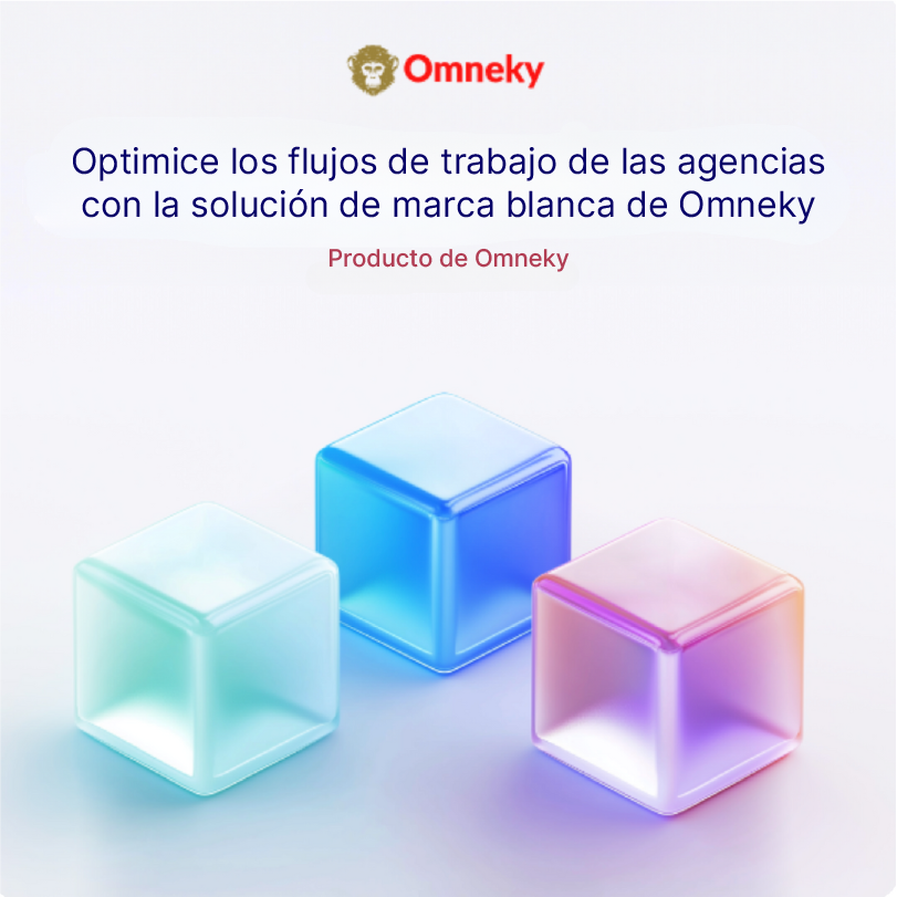 El panel de soluciones de agencia de marca blanca de Omneky, que muestra flujos de trabajo optimizados, herramientas de gestión de marca e información impulsada por la IA para las agencias.