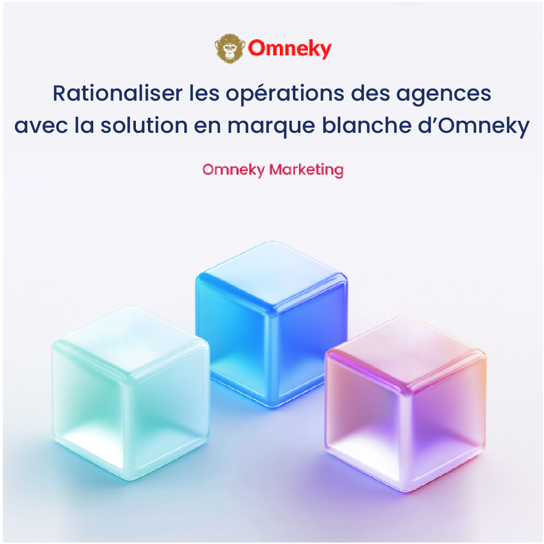 Tableau de bord de la solution en marque blanche pour agences d’Omneky, présentant des workflows rationalisés, des outils de gestion de marque et des insights propulsés par l’IA pour les agences.