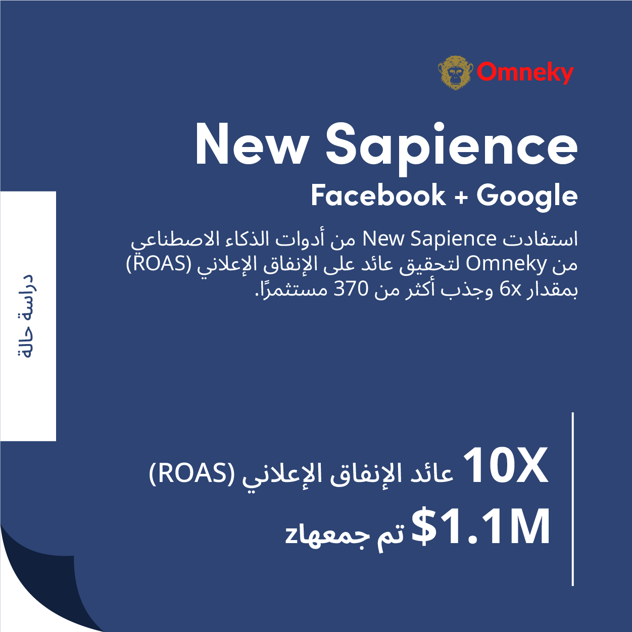 تسلط دراسة حالة New Sapience الضوء على جمع 460 ألف دولار و 6 أضعاف عائد الاستثمار من خلال حملات التمويل الجماعي القائمة على الذكاء الاصطناعي من Omneky.