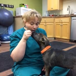 OrthoPets Portland