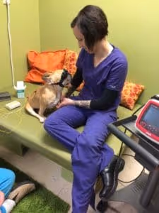OrthoPets Portland