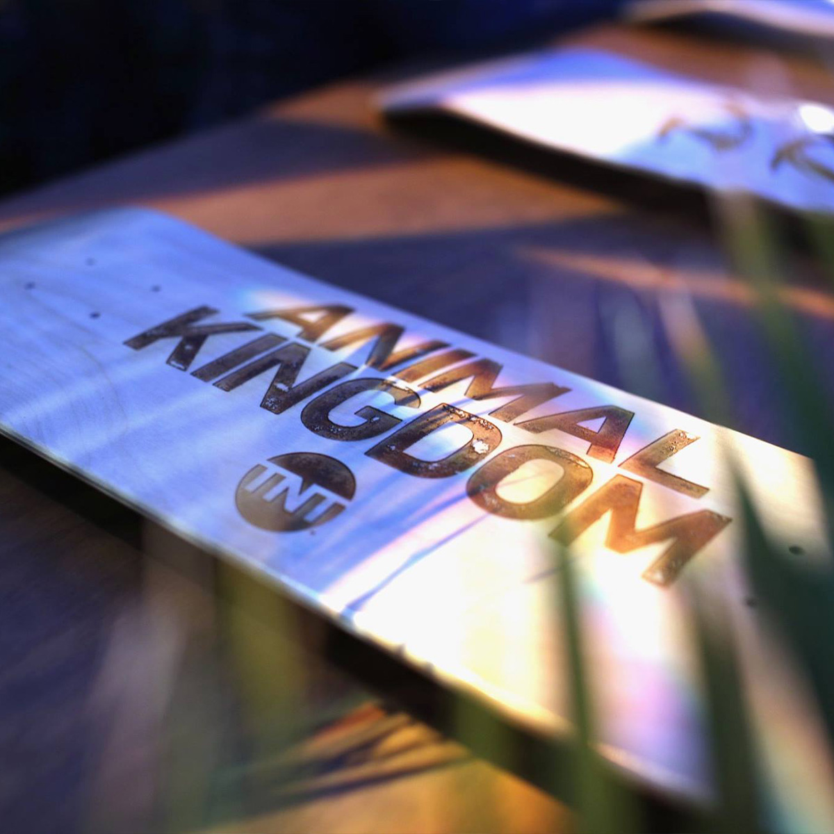 TNT Animal Kingdom - GLGR experiential marketing project