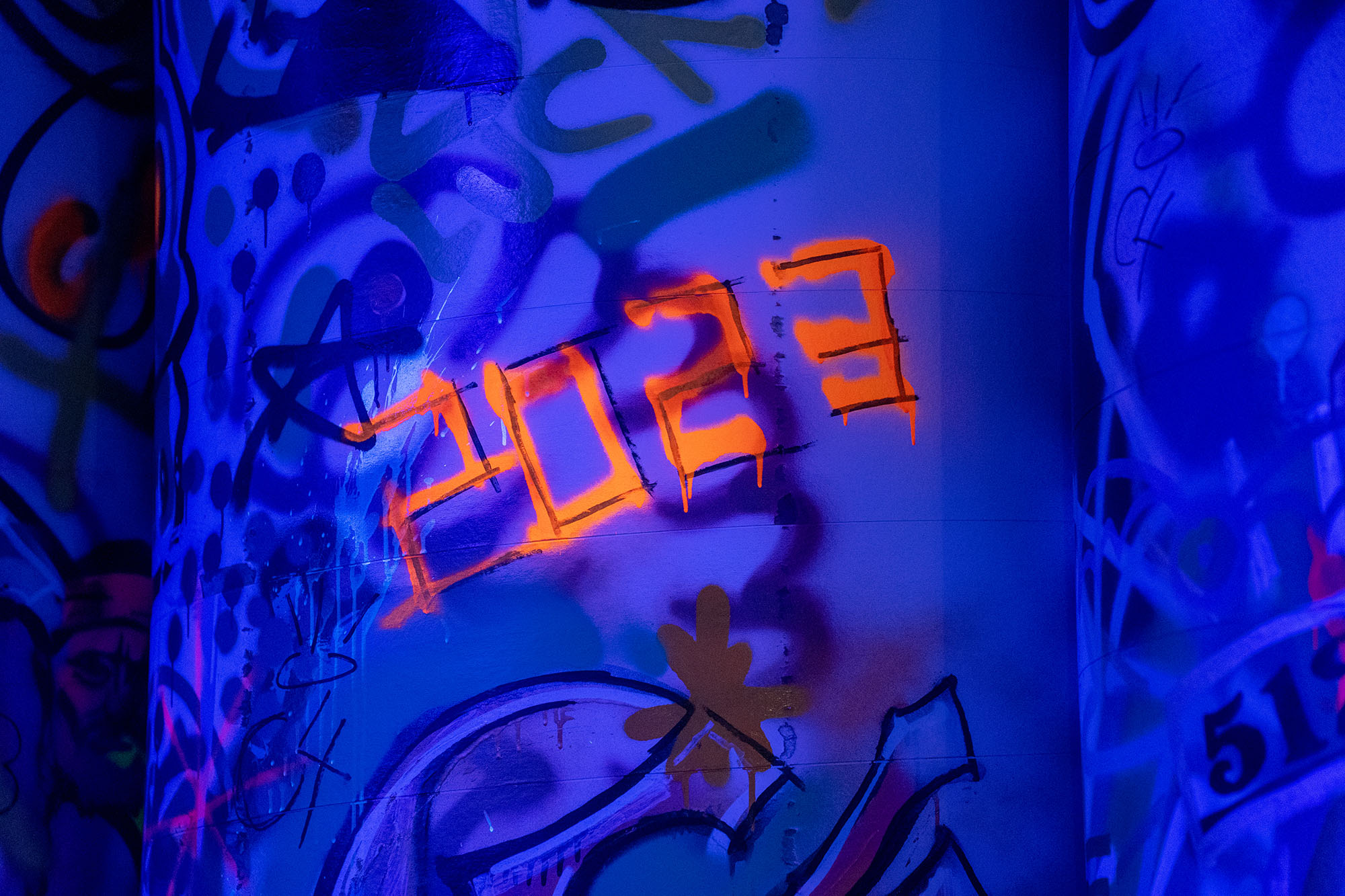 Nutrabolt C4 Smart House project photo 4