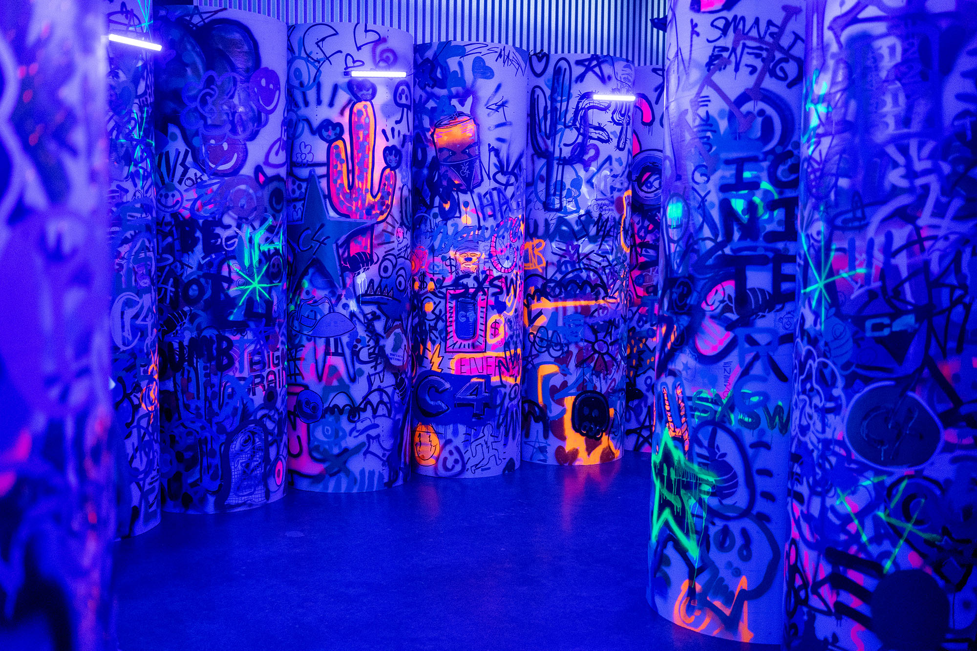 Nutrabolt C4 Smart House project photo 1