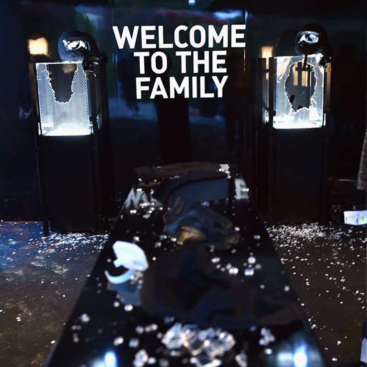 TNT Animal Kingdom project photo 2