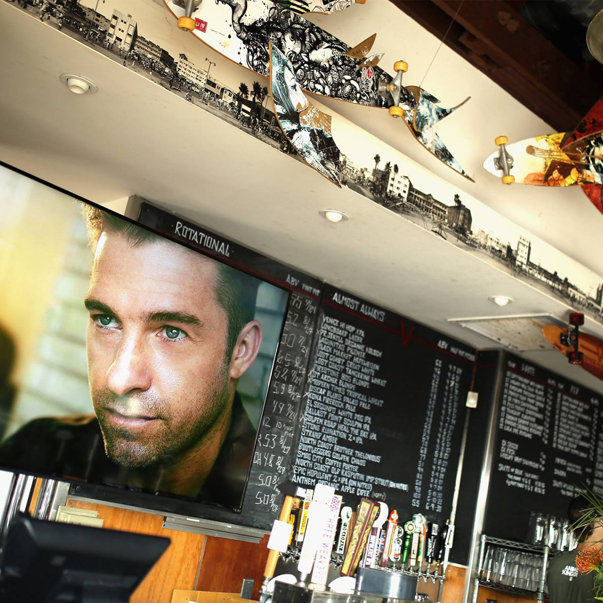 TNT Animal Kingdom project photo 6