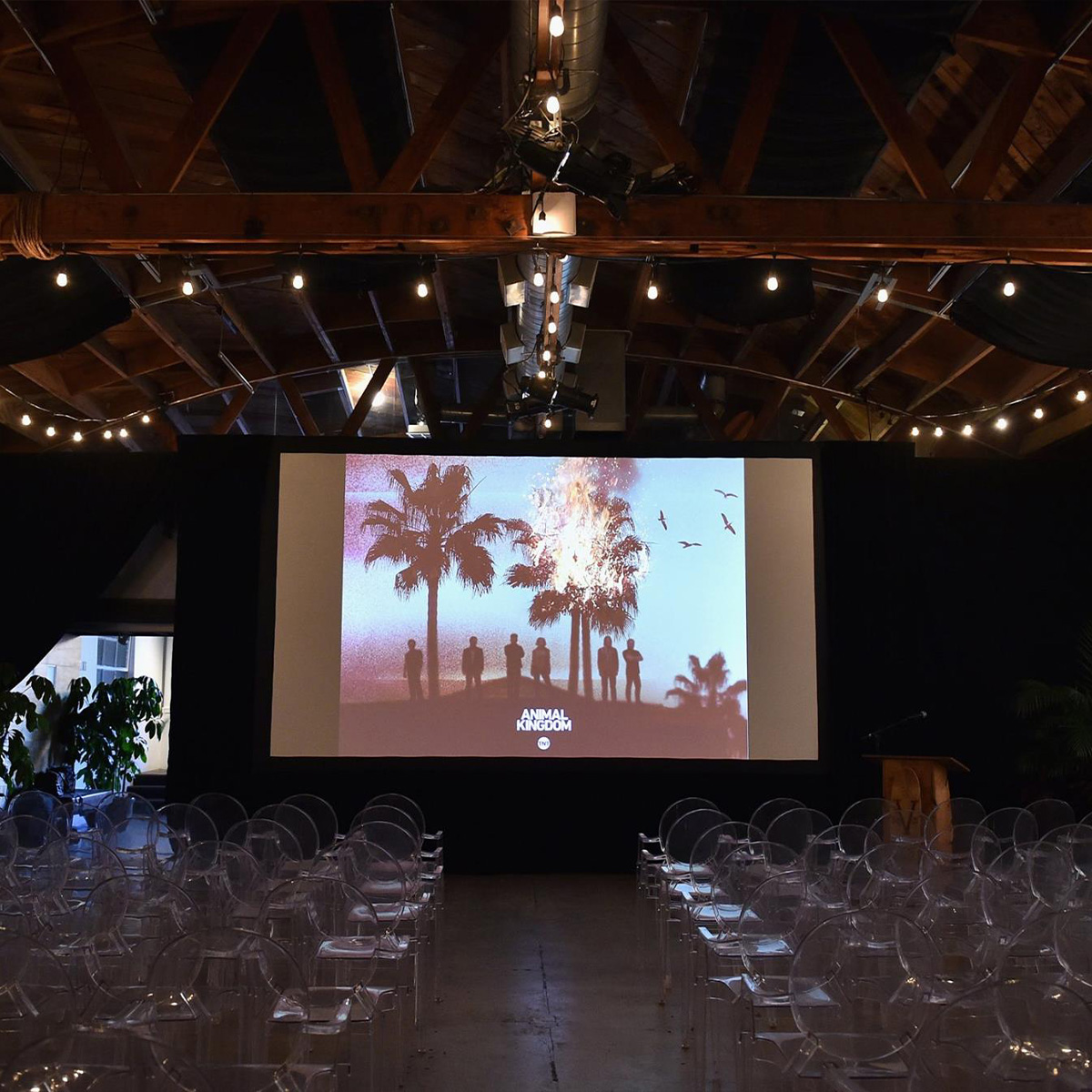 TNT Animal Kingdom project photo 5