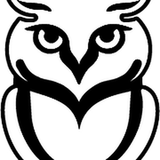 Snowise Technologies logo