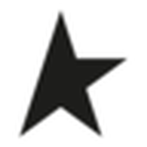 Golden Goose logo
