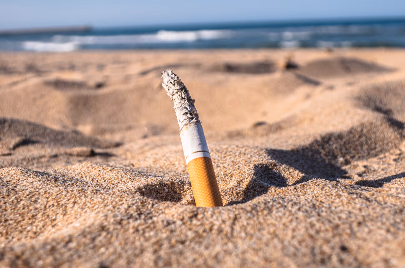 Single littered cigarette sticking out of the sand on a beach