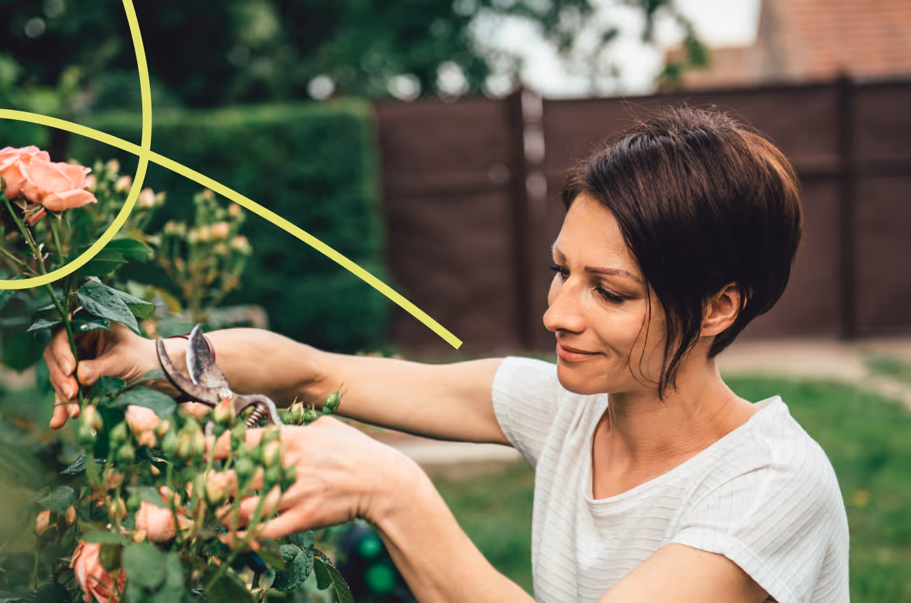 women with pruning shears gardening with pink flowers
