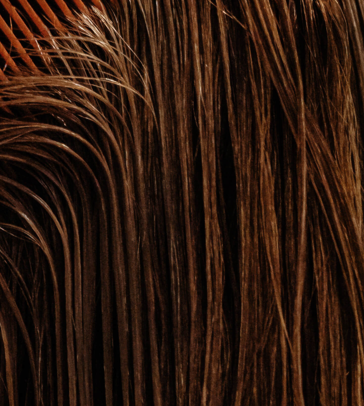 Picture of a comb going through hair.