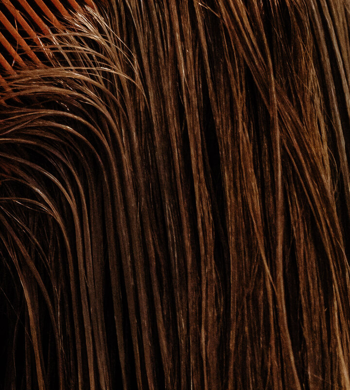 Close-up of wet auburn-colored hair with a comb being brushed through it.