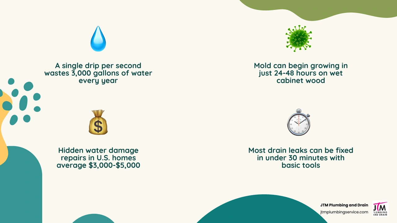 Infographic showing water waste from kitchen sink leaks, mold growth timeline, and average repair costs infographic
