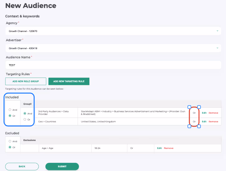 User interface for creating a new audience with fields for agency, advertiser, audience name, and targeting rules including included and excluded criteria with options to add role groups and targeting rules.