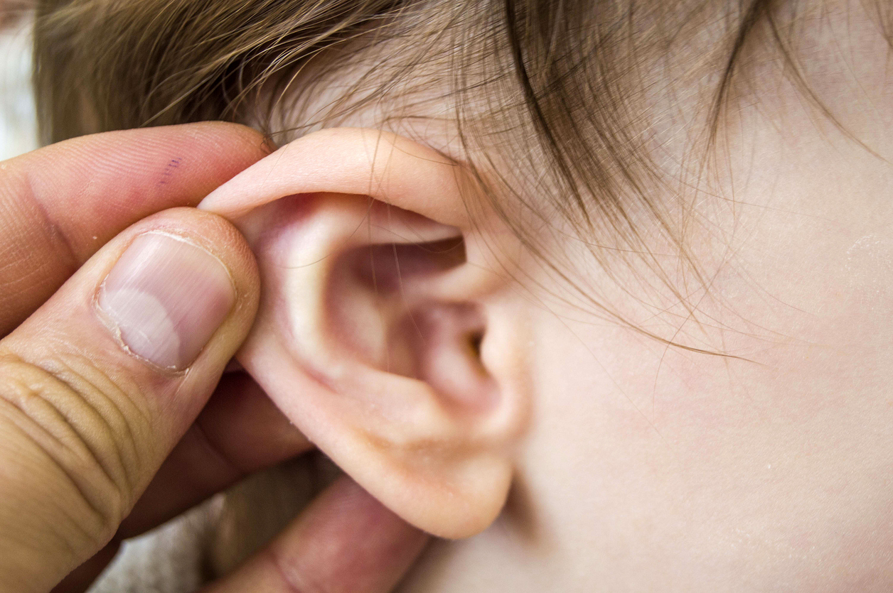 A closeup of a child's ear being held by an adult's hand.