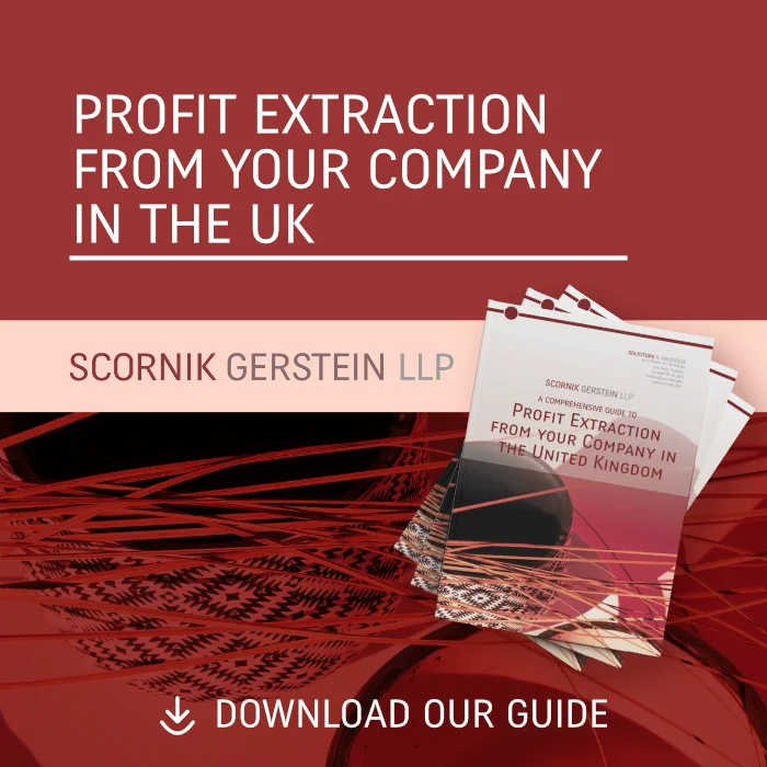 PROFIT EXTRACTION FROM YOUR COMPANY IN THE UK - GUIDE