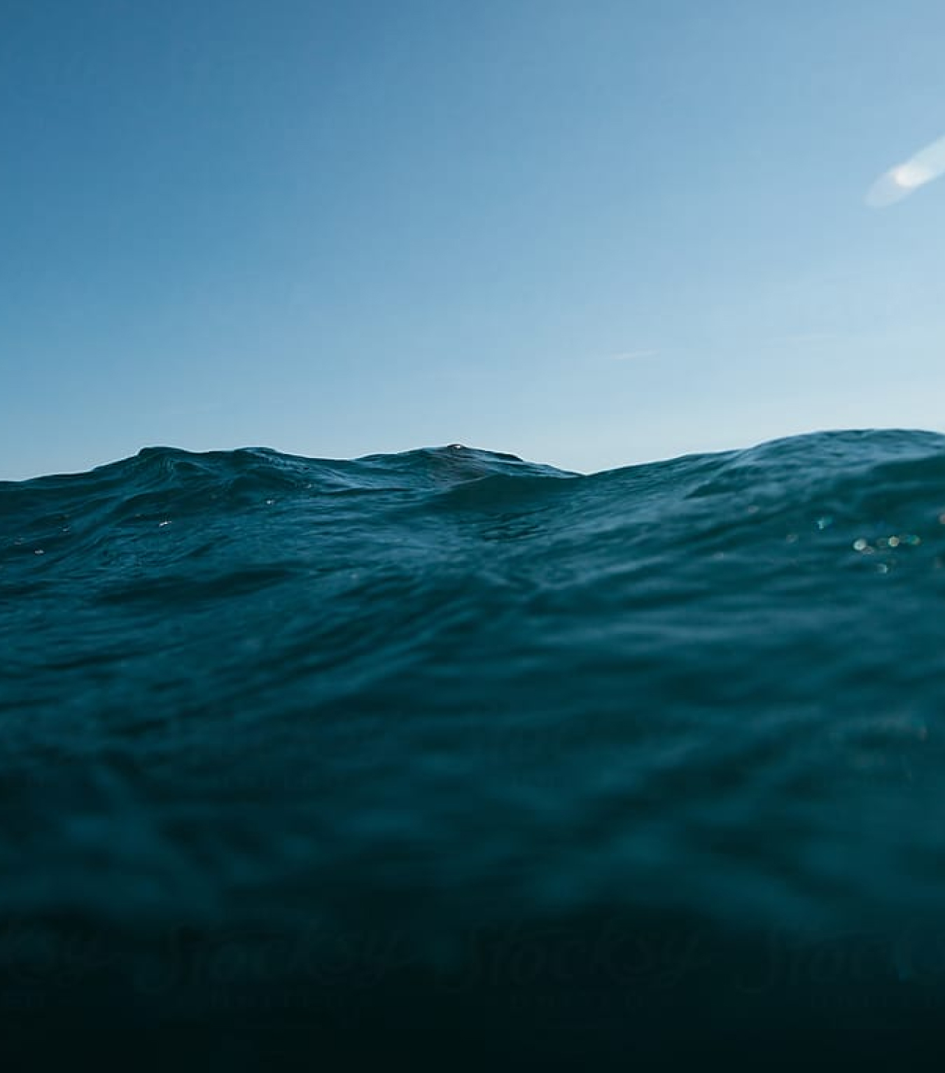 Jaws Ventures photo