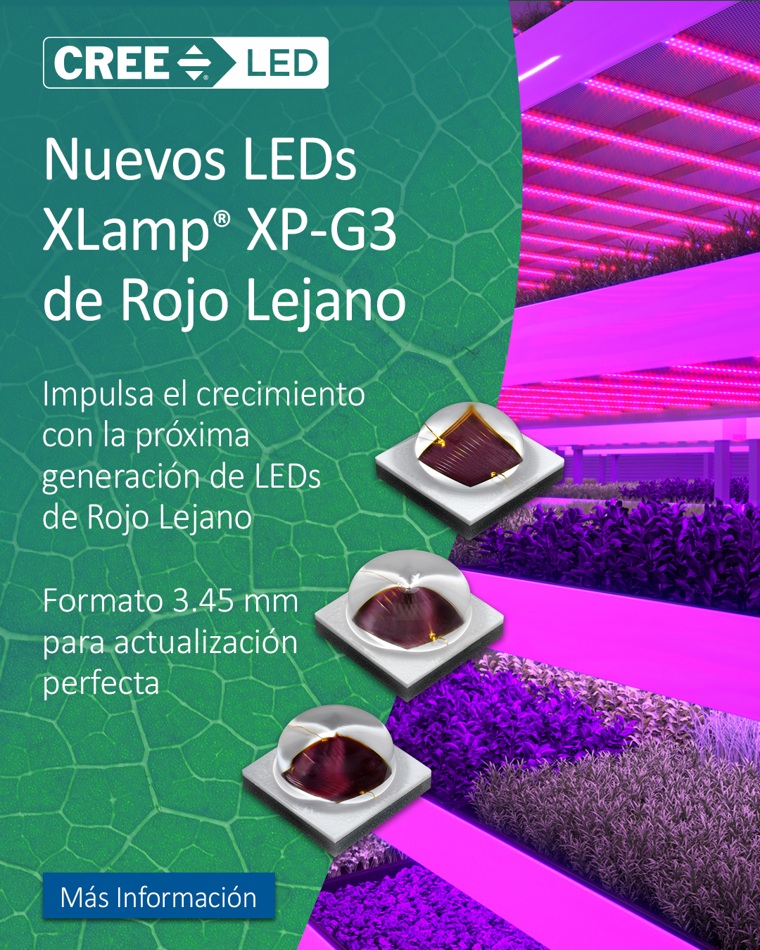 Iluminación LED para Horticultura: Innovación y Eficiencia en el Cultivo Moderno