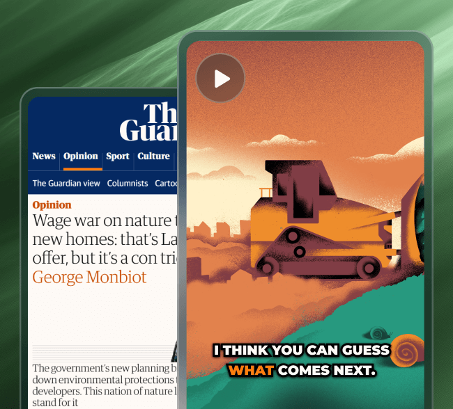 Animated Social Media Subtitles