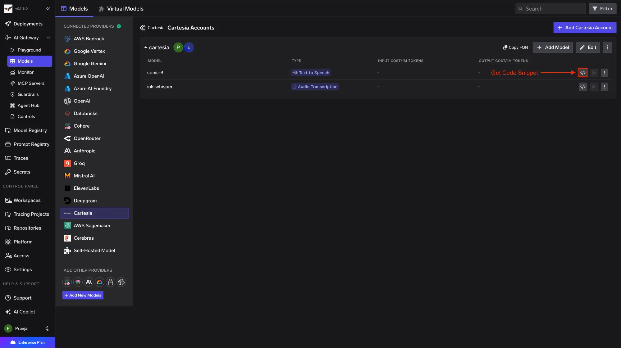 Cartesia model row in the TrueFoundry AI Gateway model list with Code Snippet and Try in Playground actions exposed for each registered model