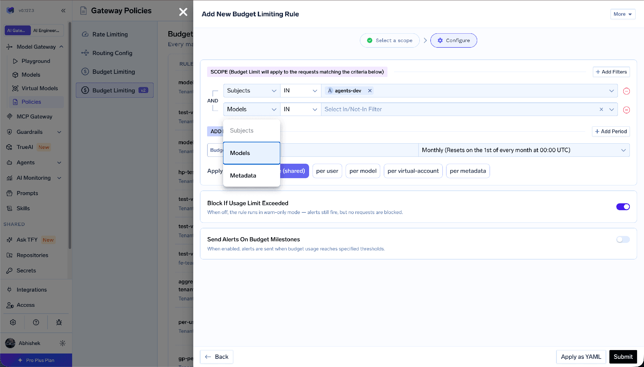 Budget rule scope filters with Subjects, Models, and Metadata conditions