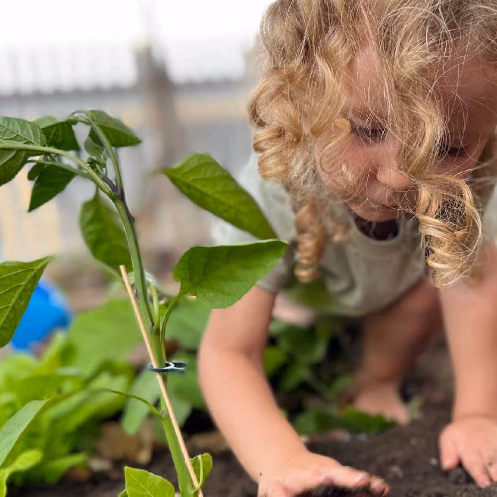 Young girl digging plant