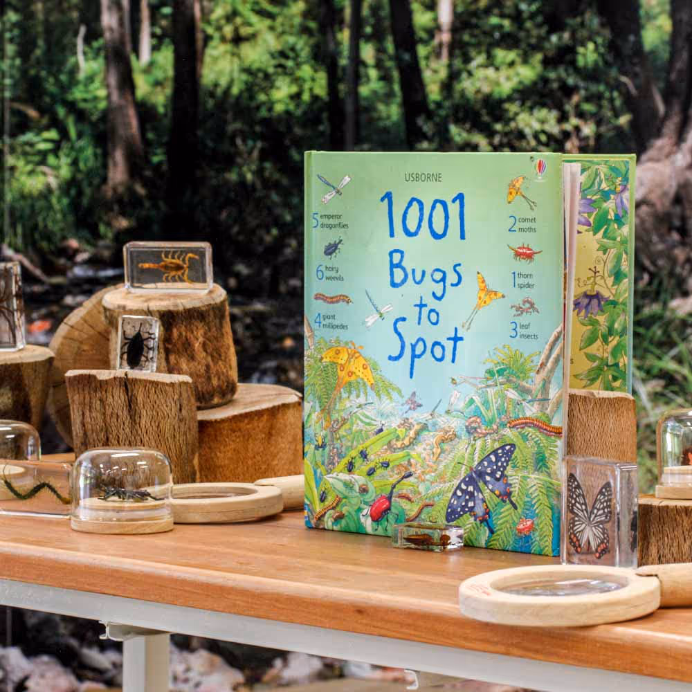 Picture of nature book and insects