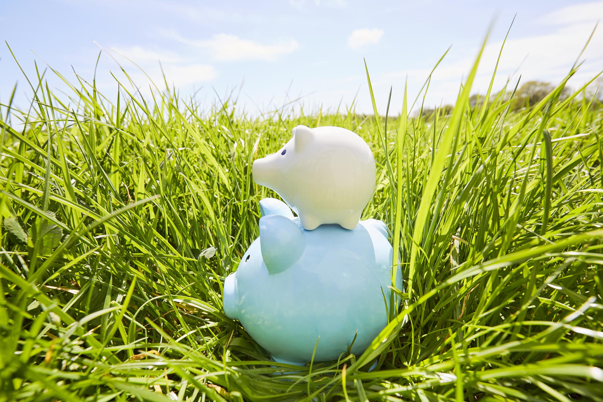 Stack of large and small piggy banks, representing new tax planning accounts