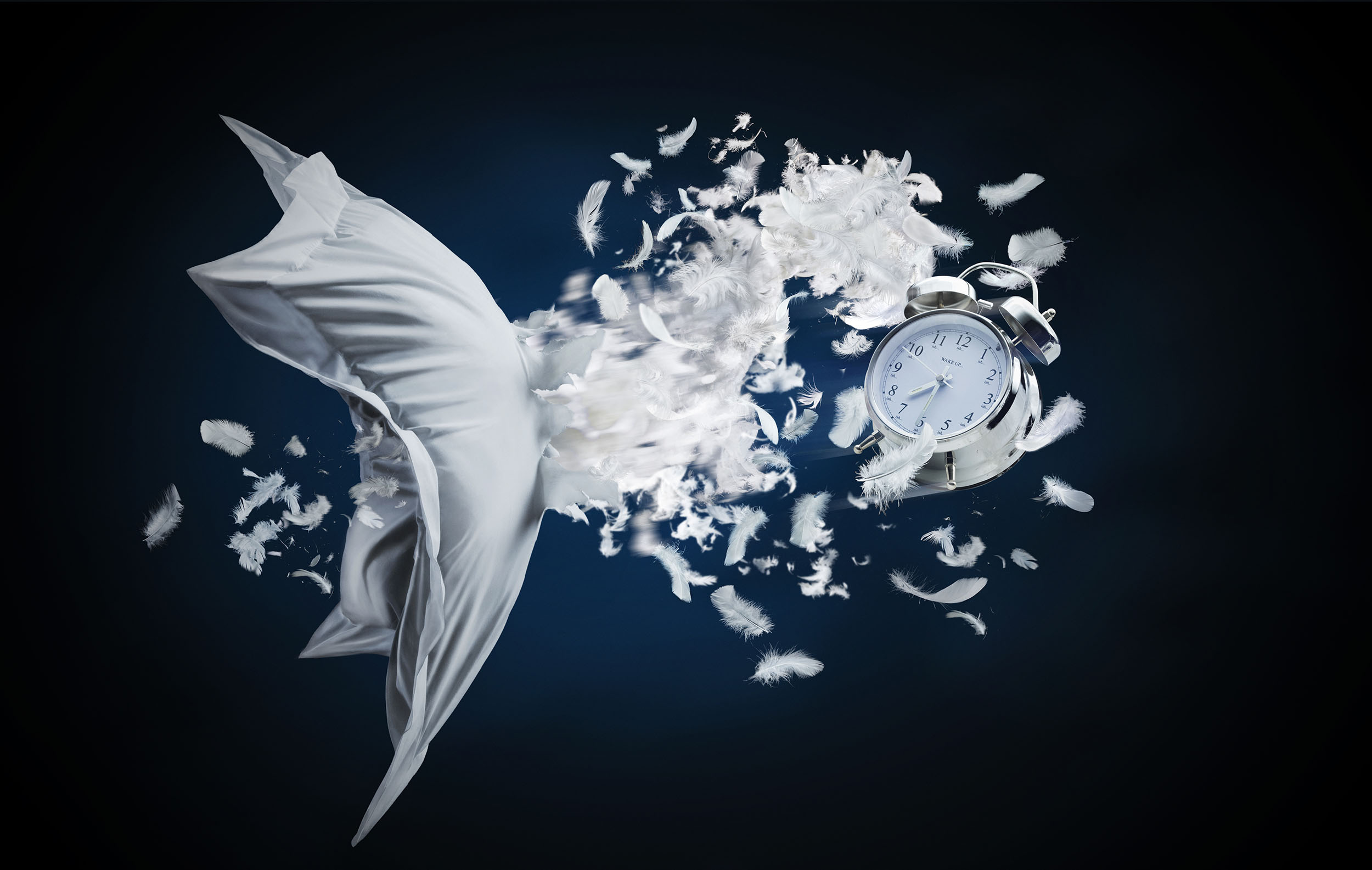 Feathers and a clock, representing time management challenges at busy firms