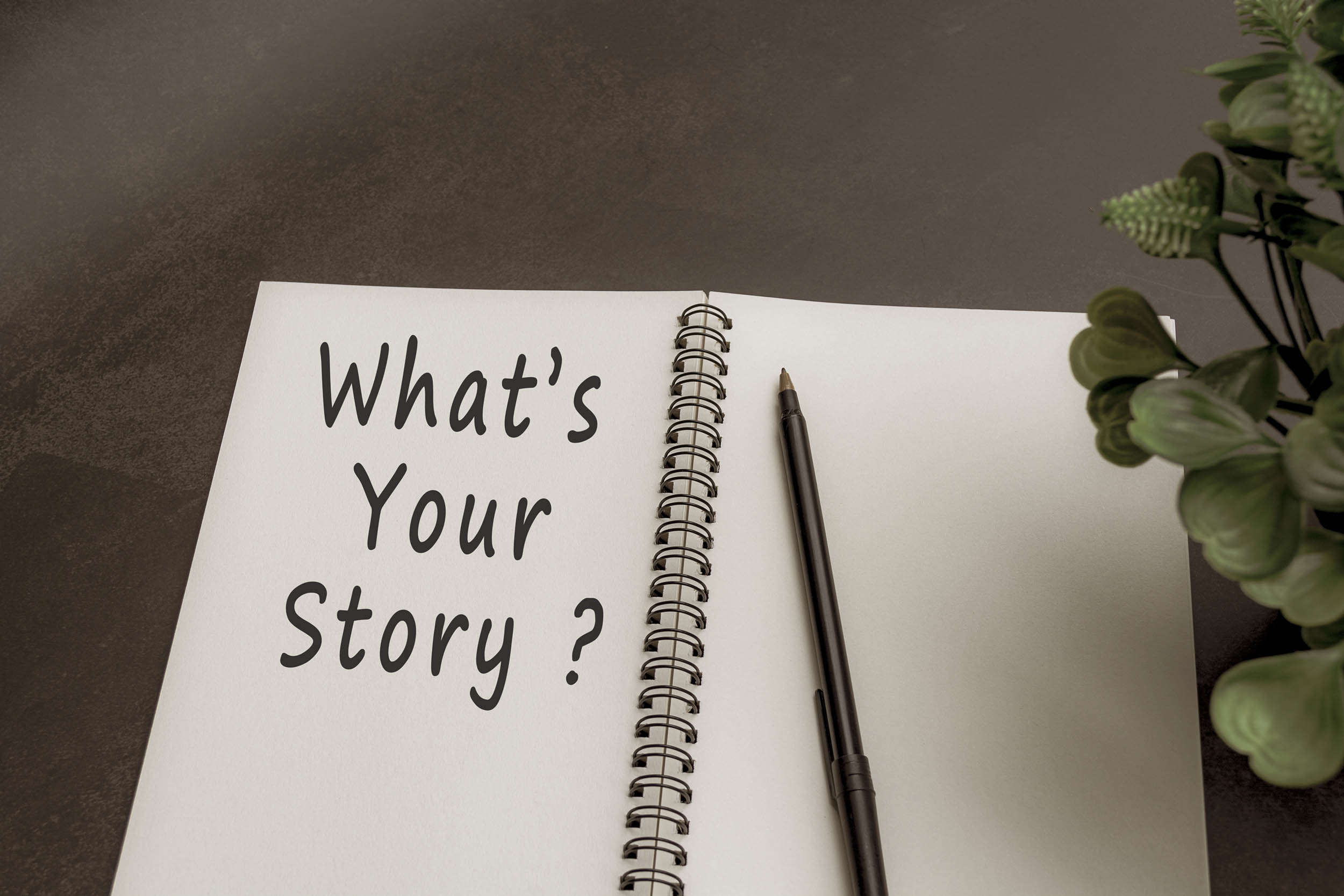 What's your story graphic, representing a personality-driven professional bio