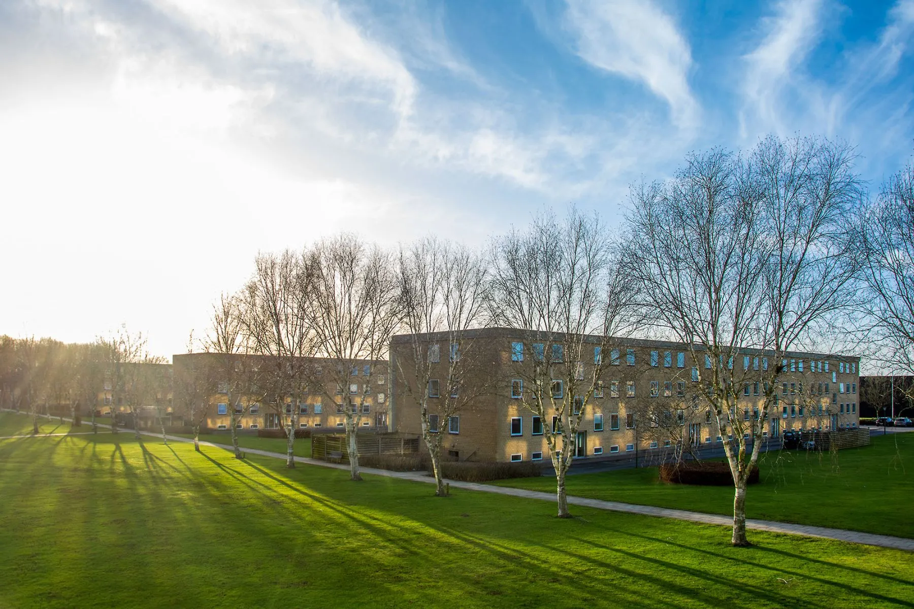 Lav vintersol over de grønne områder i Holmparken Herning