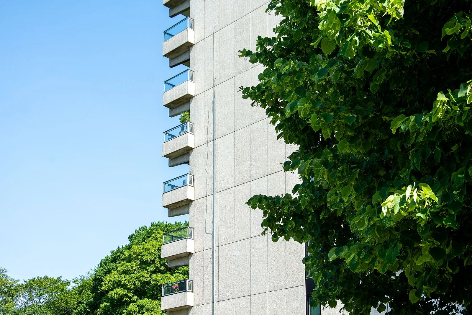 Herregårdsparken Herning i solskin og blå himmel