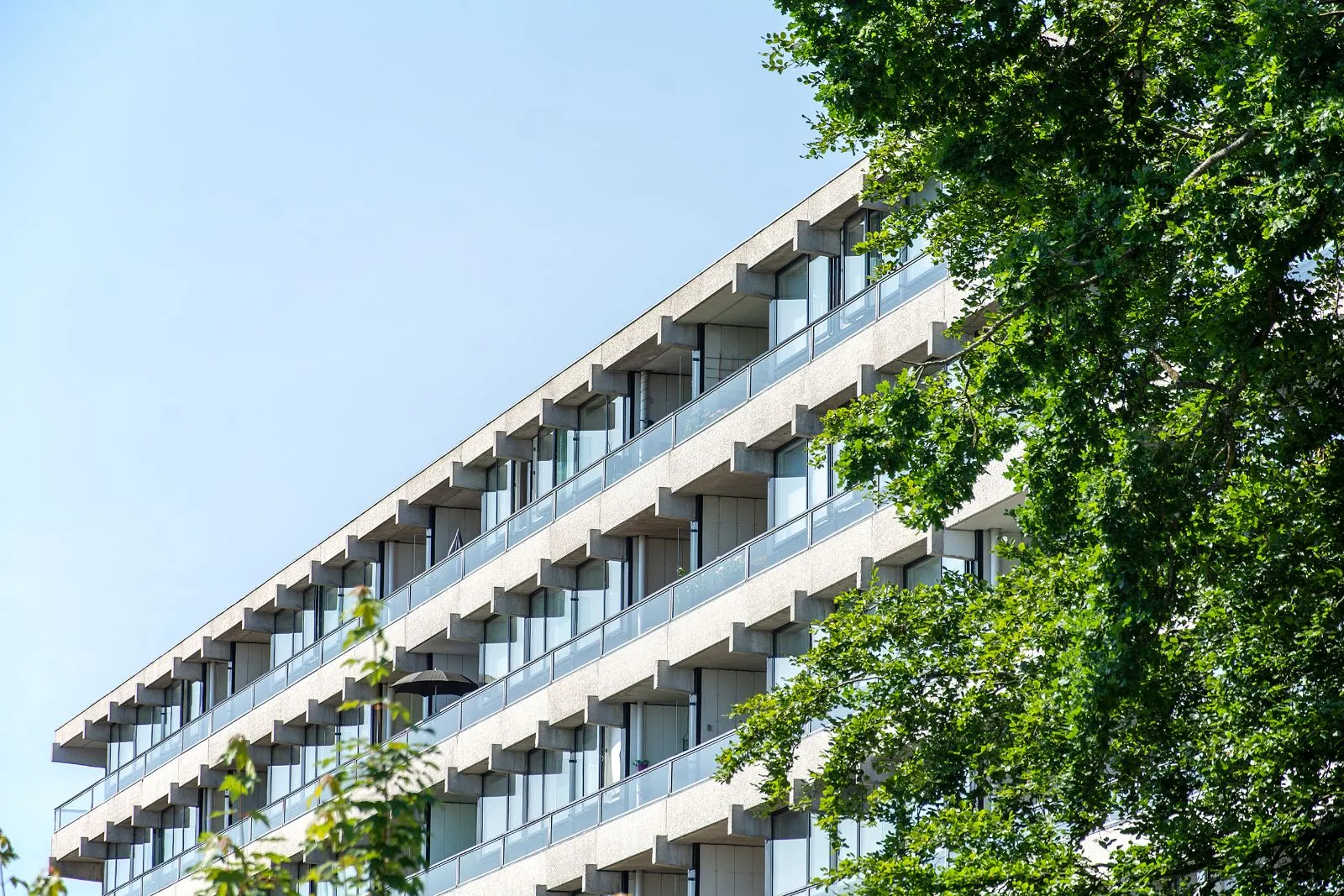 Altaner i solskin i Herregårdsparken Herning