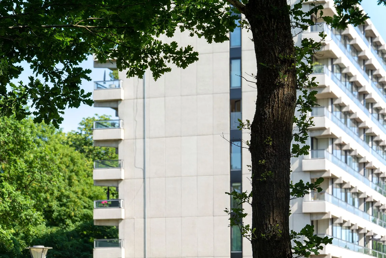 Træ foran gavlen på Herregårdsparken Herning